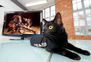 Illustration for article titled Black Cats Set To Advertise F.E.A.R. 2